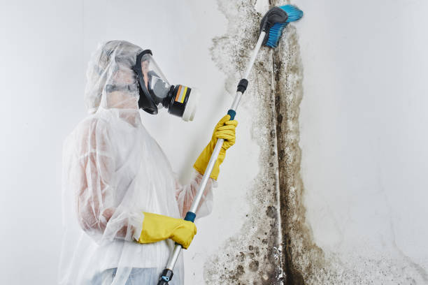 Water damage restoration insurance claims in La Homa, TX